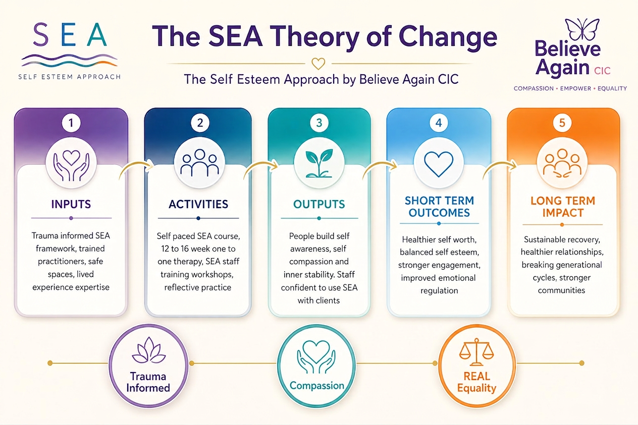 SEA Theory of Change infographic